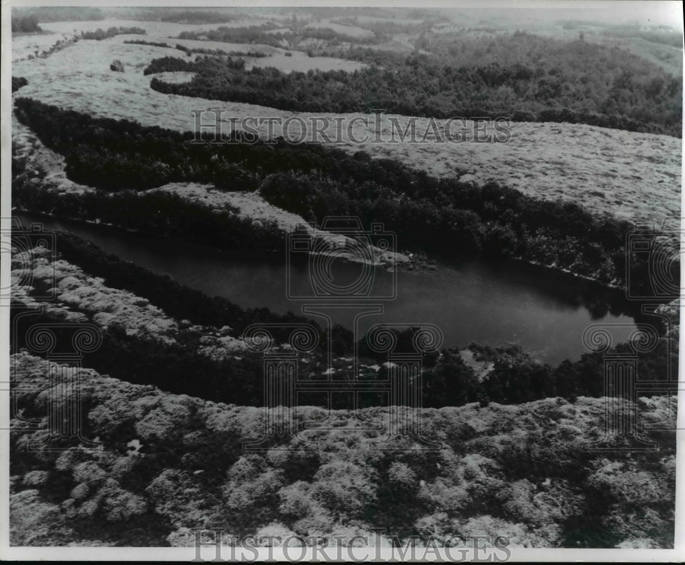 1969 Press Photo Crown vetch in full bloom on surface mined land near Cadiz, O. - Historic Images