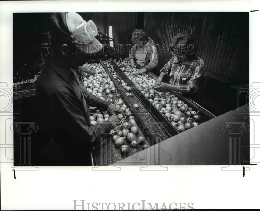 1985 Press Photo Caloryville - Historic Images