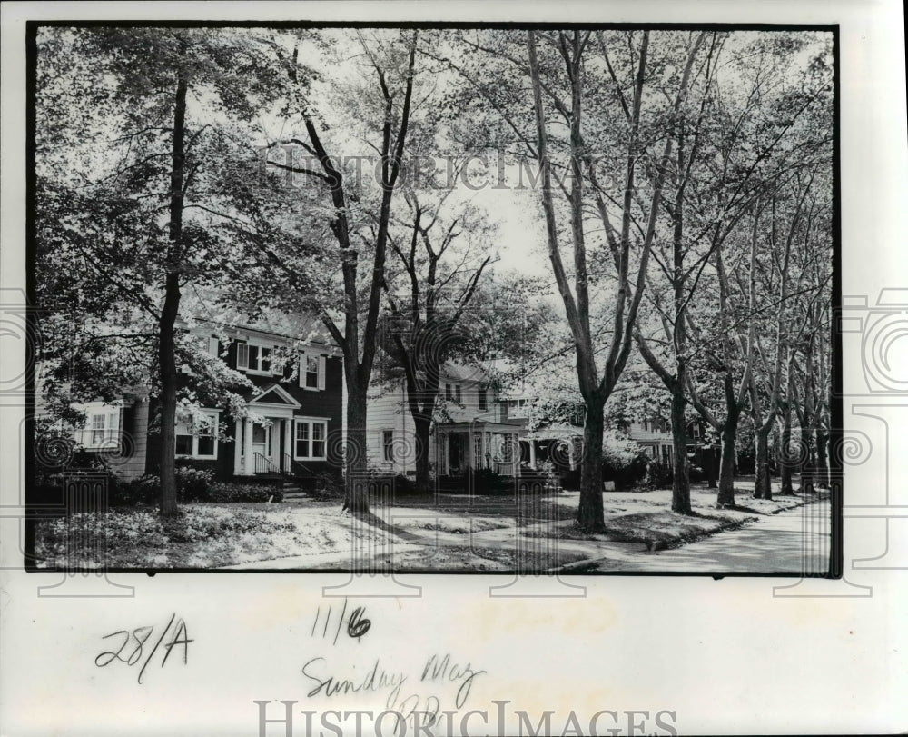 1977 Press Photo Coleridge Road in Cleveland Heights Ohio - Historic Images