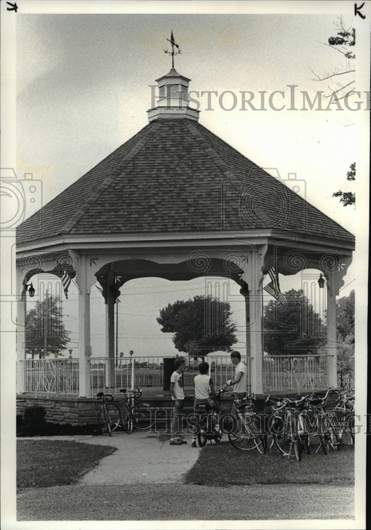 1986 Press Photo Frank Aleksandrawicz and wife Louise working in the garden - Historic Images