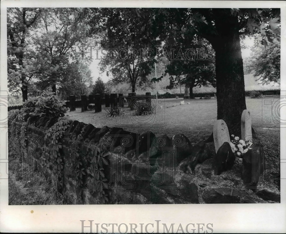 1971 Press Photo Burial Place in Iron Fence are on left Ohio - Historic Images