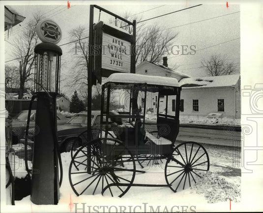 1981 Press Photo Old Gas pump circa 1920's and buggy front of French Creek - Historic Images