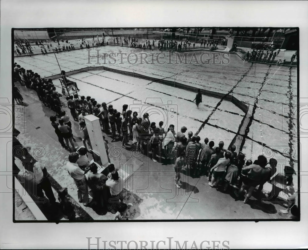 1978 Press Photo The Charles A. Foster 50 meter pool in Lakewood Park, - Historic Images