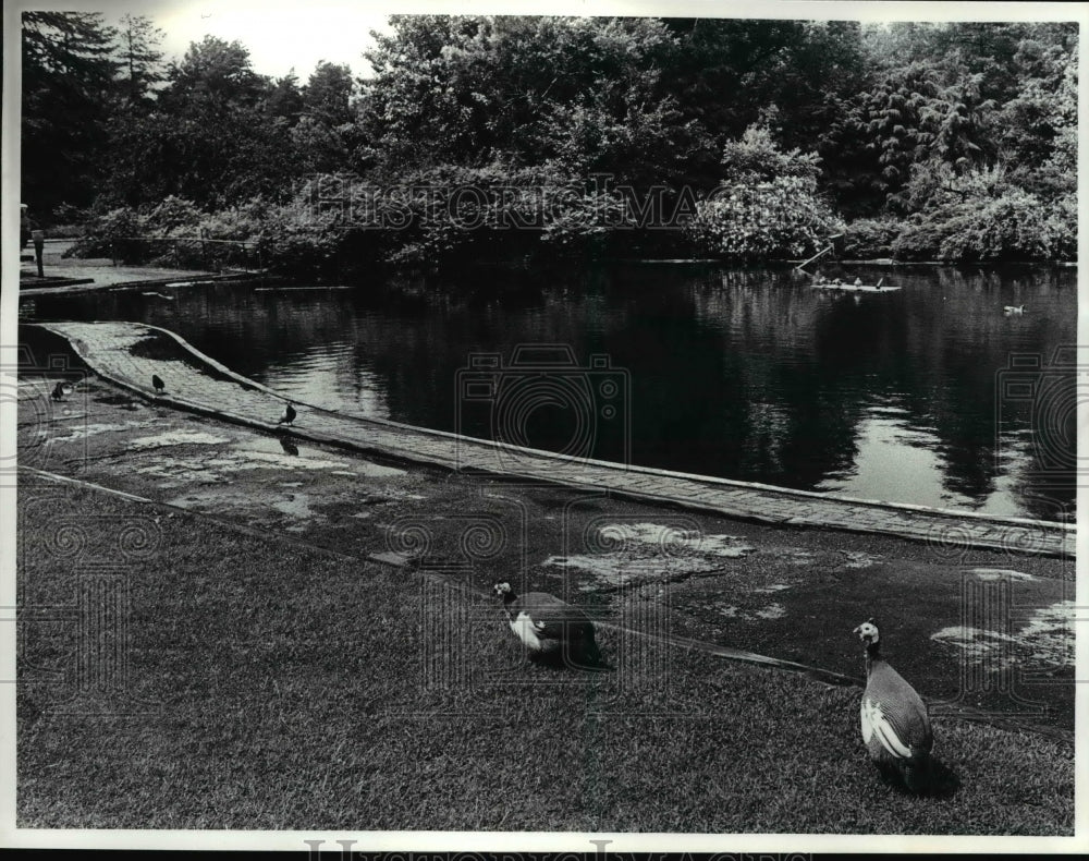 1981 Press Photo Ohio Mansfield-Kingwood Center - Historic Images