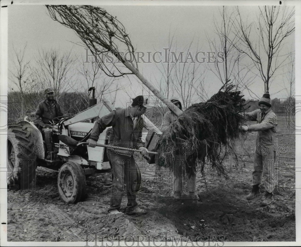 1982 Press Photo Roger Joiner, Jeff Brotzman and Charks Brotzman - cvb03199 - Historic Images