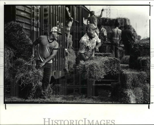 1986 Press Photo Cattlemen from several counties around Charlote N.C. - Historic Images