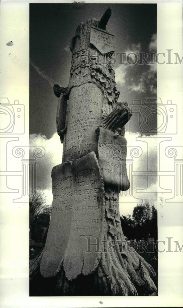 1986 Press Photo  Rice family gravestone in the Butternut Ridge Cemetery, Ohio - Historic Images