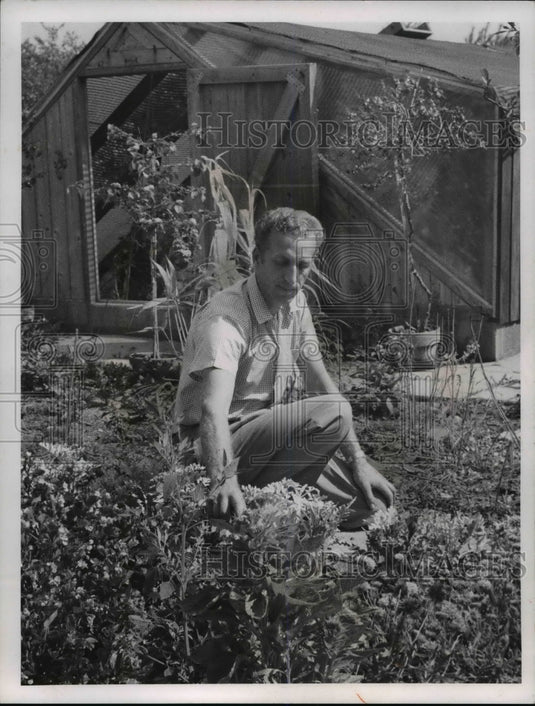 1964 Press Photo Henry A. Ross in  garden he wants to give to town - Historic Images