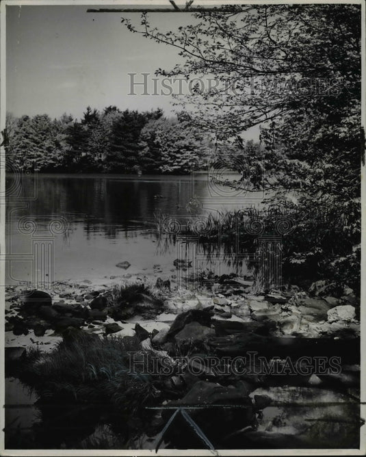 1947 Press Photo Evergreen Lake Parma, Ohio - cvb04306-Historic Images