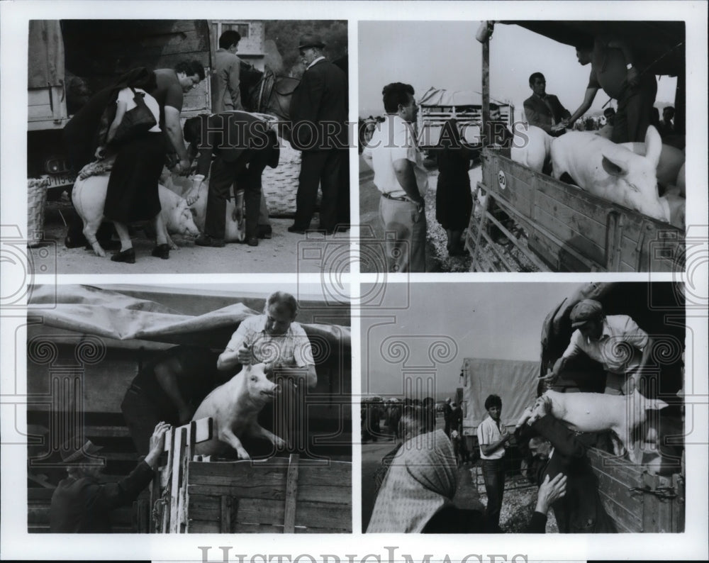 1983 Press Photo Sarajevo Pig Market - Sarajevo, Yugoslavia - Historic Images