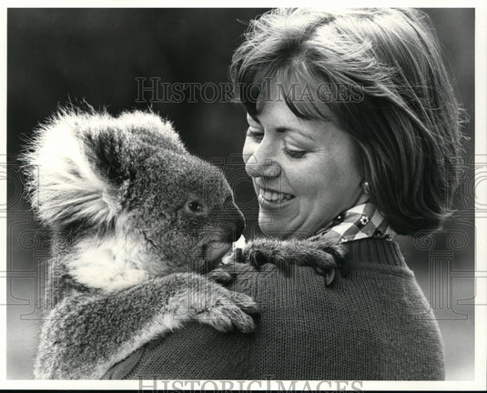 1977 Press Photo Australia's Cuddly Koala at Cleland National Park, Australia - Historic Images