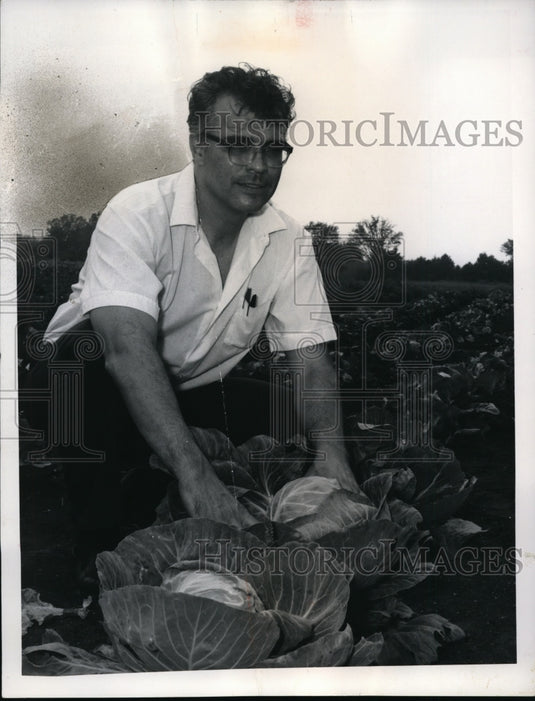 1968 Press Photo Jack Gordon checks vegetables, Community Action Council Ravenna - Historic Images