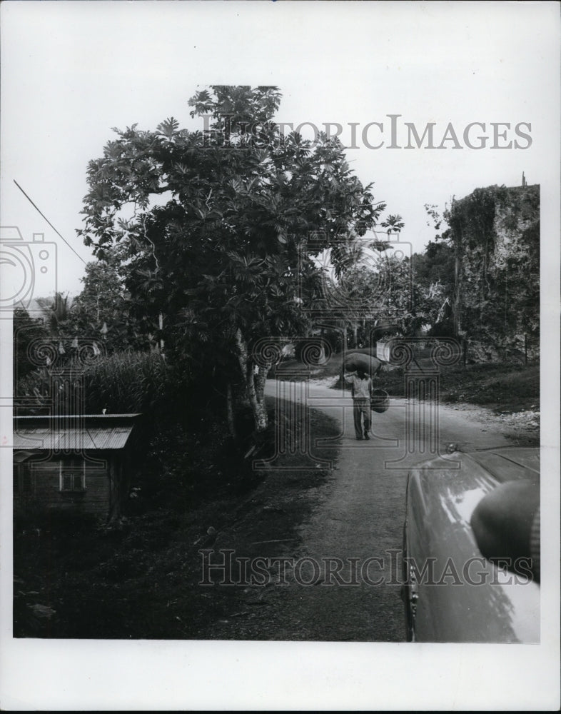 1970 Rural Barbados near hamlet of St. John&#39;s Church-Historic Images