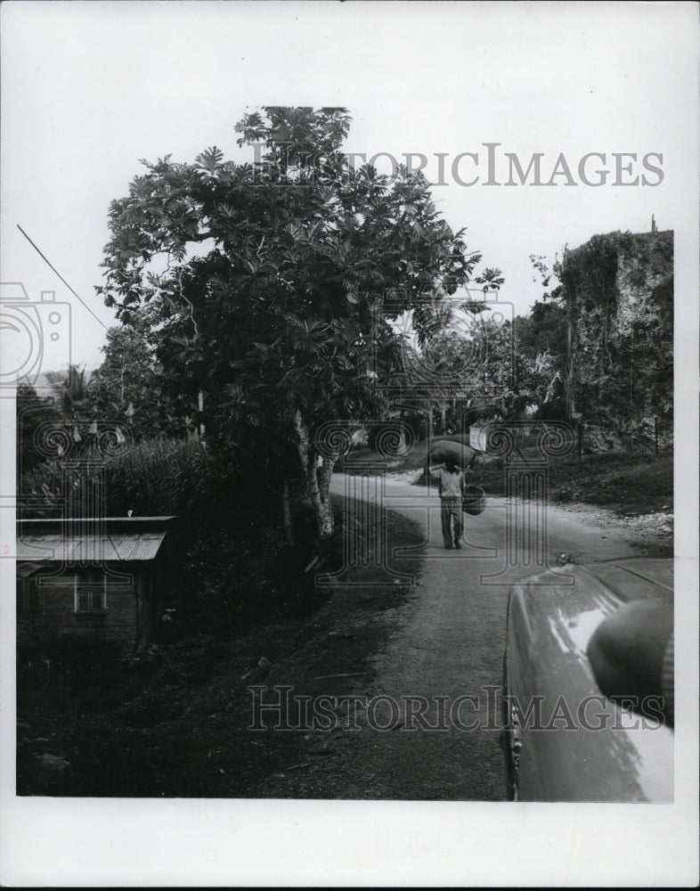 1970 Rural Barbados near hamlet of St. John's Church-Historic Images