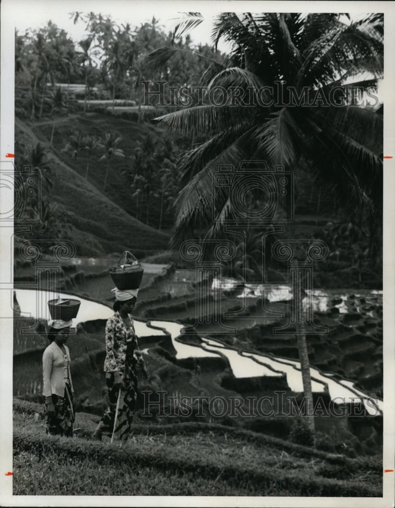 1973 Bali, Indonesia.-Historic Images