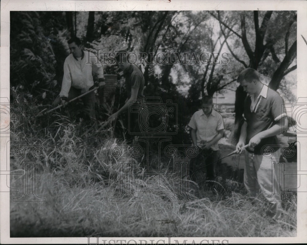 1954 Press Photo Searching woods for murder weapon in Sheppard slaying in Ohio. - Historic Images