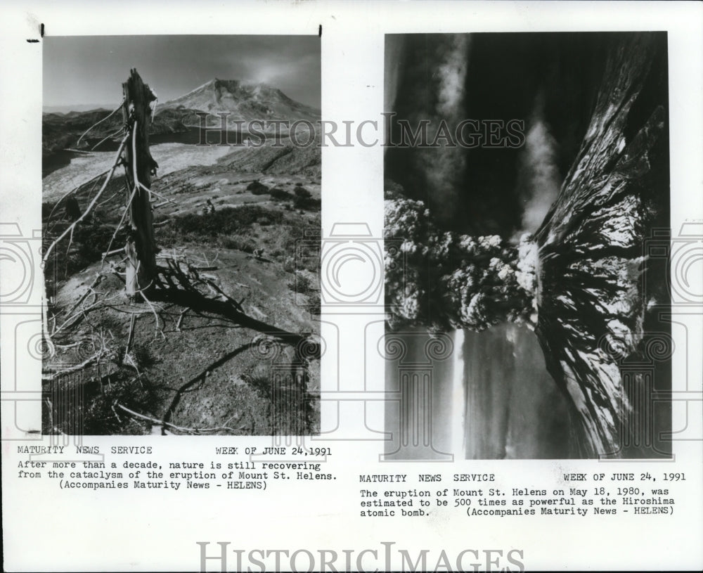 1991 Press Photo Volcanoes - Mt. St. Helens. - cvb06297 - Historic Images