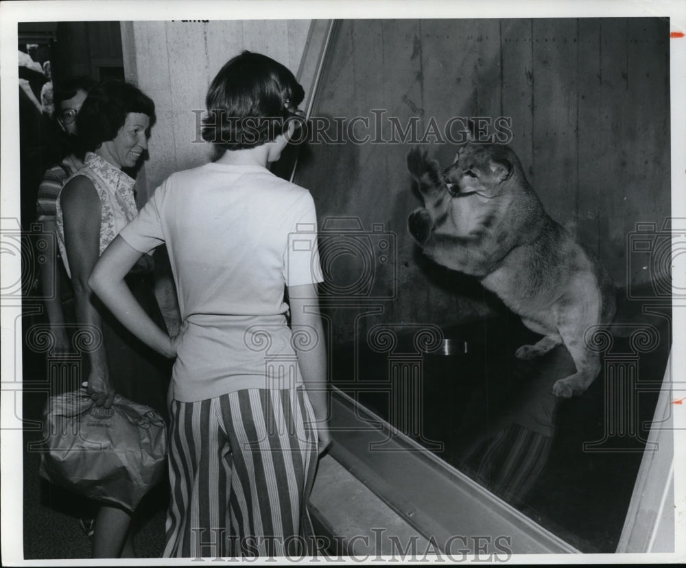 1978 Press Photo Cleveland Metropards Zoo&#39;s Primate and Cat building. - Historic Images
