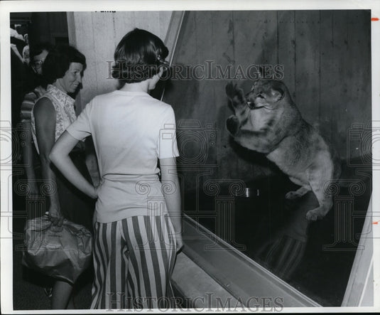 1978 Press Photo Cleveland Metropards Zoo's Primate and Cat building. - Historic Images
