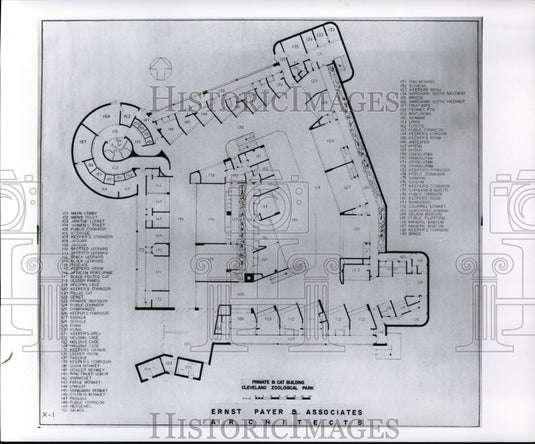 Press Photo Architectual drawing of the Primate & Cat Building . - cvb06331 - Historic Images