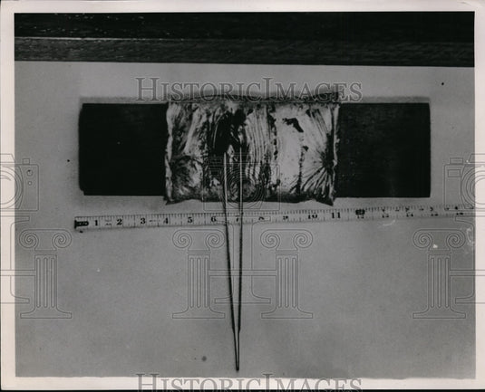 1955 Press Photo Dr. Sam Sheppard Trial. - cvb06375- Historic Images
