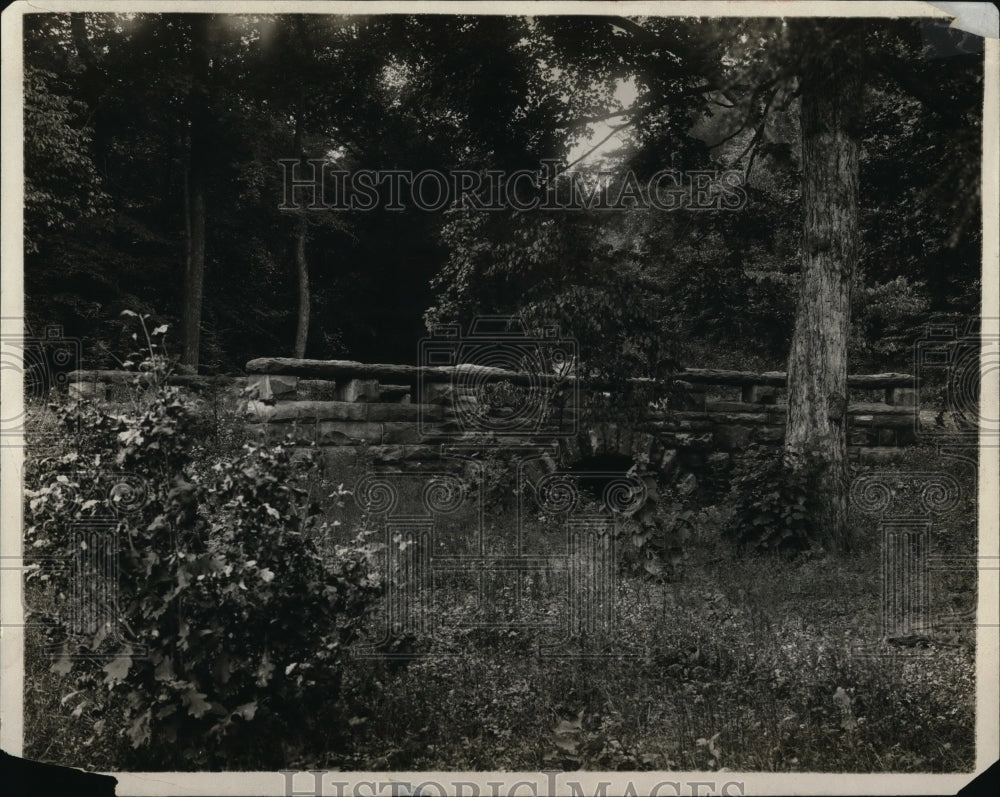 1915, A scene in Mill Creek Park, Youngstown, Ohio. - cvb07064 - Historic Images
