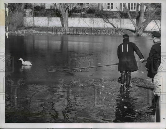 1964, Stuck Shaker Duck Unstuck - cvb07359 - Historic Images