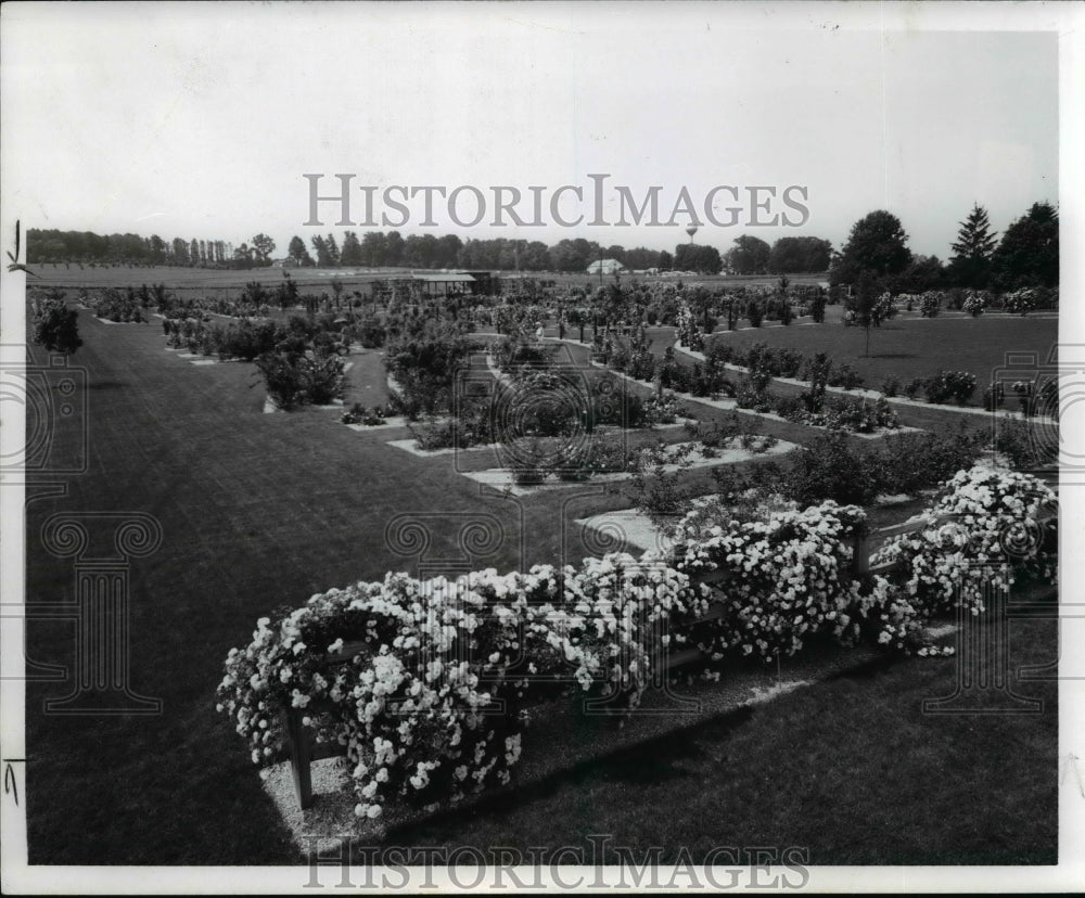 1983 Press Photo Wooster Ohio Agricultural Research and Development Center - Historic Images