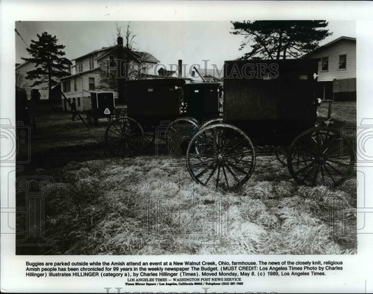 1995 Press Photo Buggies-Wallnut Creek, Amish Ohio - cvb07991 - Historic Images