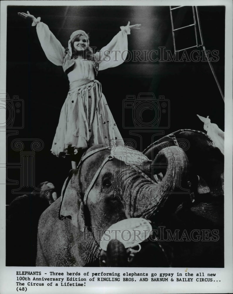 1980 Press Photo RIngling Bros. Barnum &amp; Bailey Circus. Elephants. - cvb08402 - Historic Images