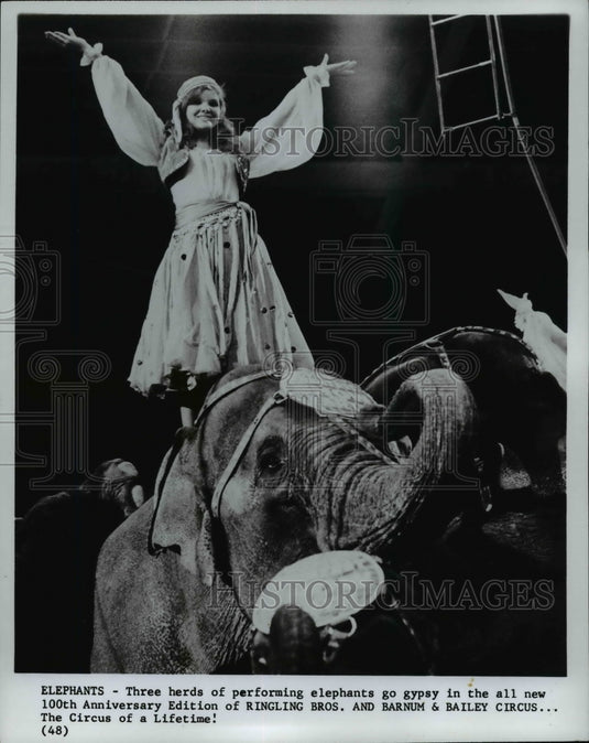 1980 Press Photo RIngling Bros. Barnum & Bailey Circus. Elephants. - cvb08402 - Historic Images