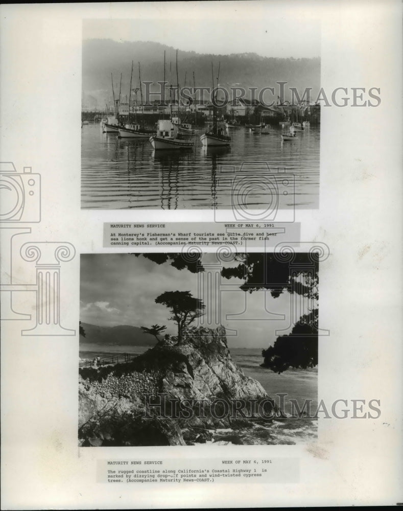 1991 Press Photo Monterey Peninsula, California - cvb08469 - Historic Images