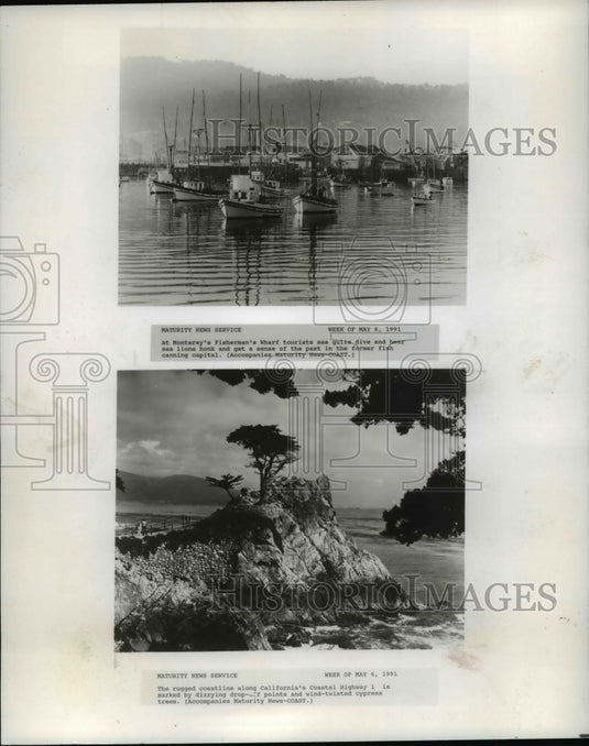 1991 Press Photo Monterey Peninsula, California - cvb08469 - Historic Images
