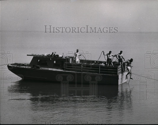 1954, Diver D Alesandria jumps into the water - cvb08922 - Historic Images