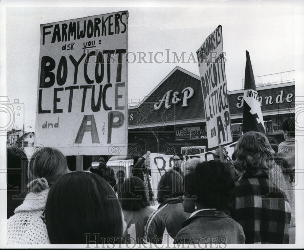 1973 Press Photo Lettuce farm workers-strike - cvb09055 - Historic Images