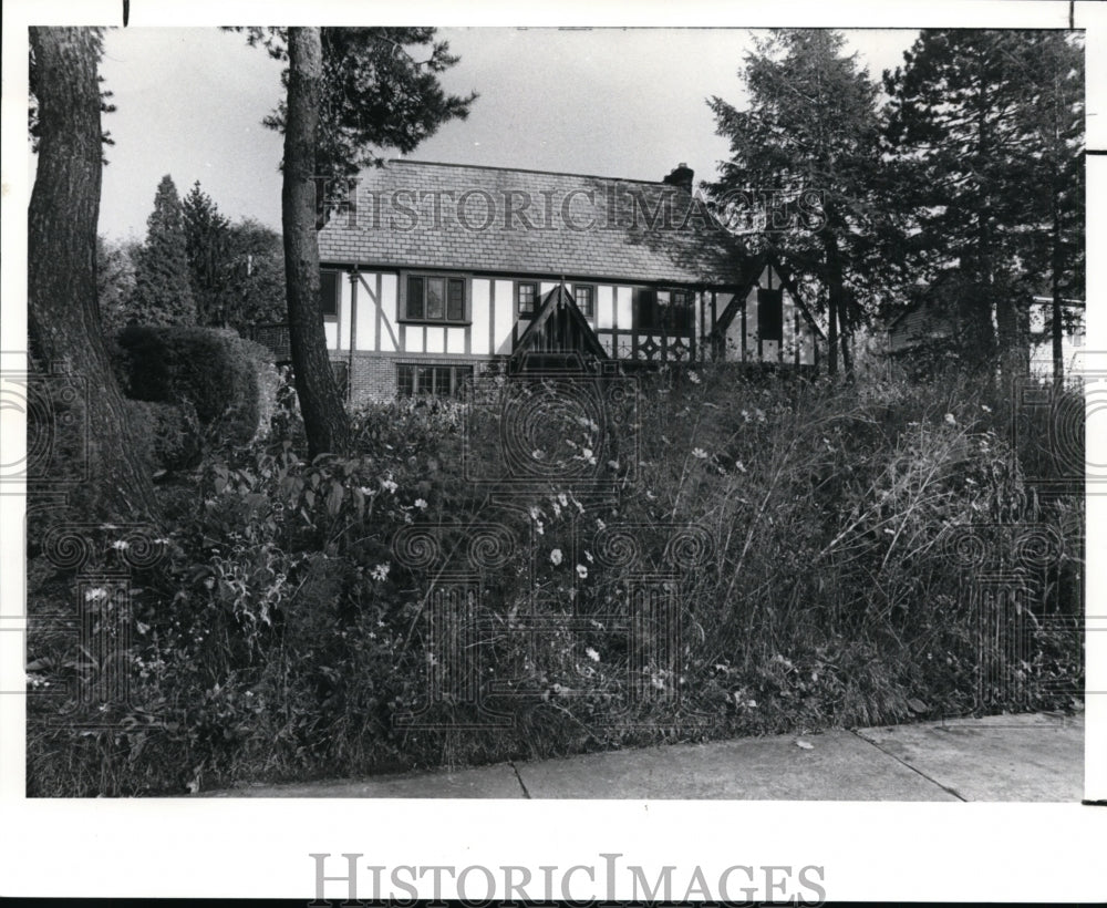 1989 Press Photo Wildflowers, Joseph and Suzanne Gyurgyiks, Shaker Hts. Ohio. - Historic Images