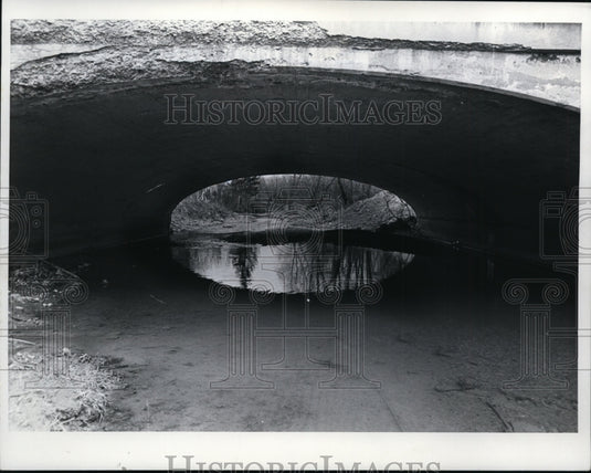 1967 Old bridges in Parma, Ohio-Historic Images