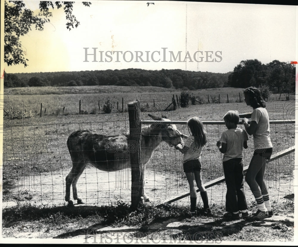 1981 Press Photo Stearns Homestead at Gibbs Farm, Parma, Ohio - cvb10076 - Historic Images