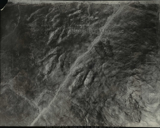1924 Press Photo Foot print fossil in the Cleveland Museum of Natural History-Historic Images