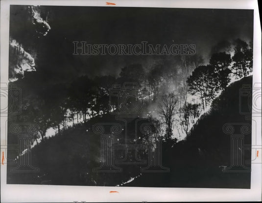 1963, Woods Burning - cvb11332 - Historic Images