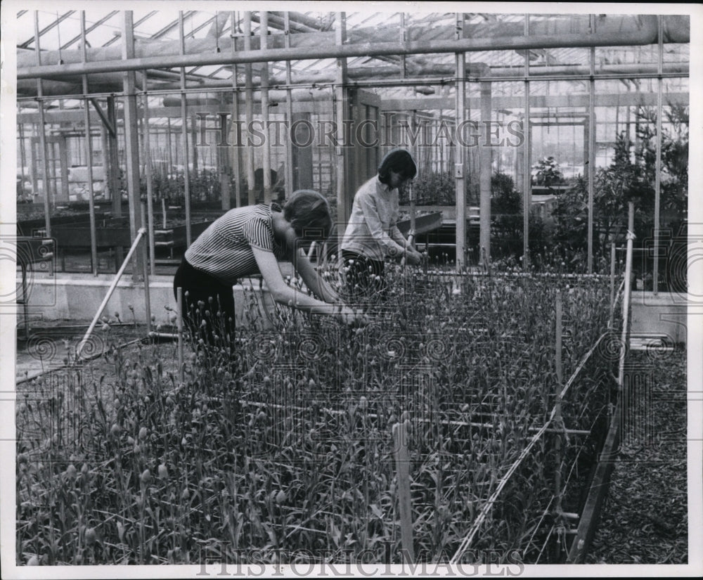 1970 Press Photo Helen Magielda, Patsy Talkington-Washington Park - cvb11632 - Historic Images