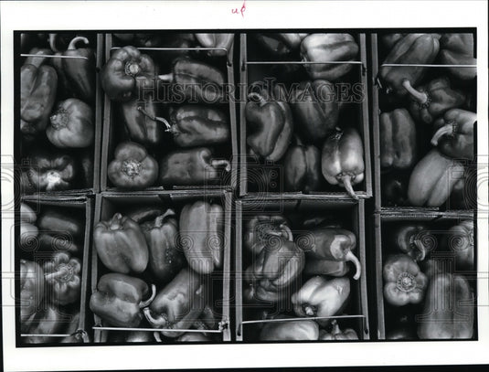 1986 Press Photo Green peppers-Aurora Farms outdoor market - cvb11773 - Historic Images