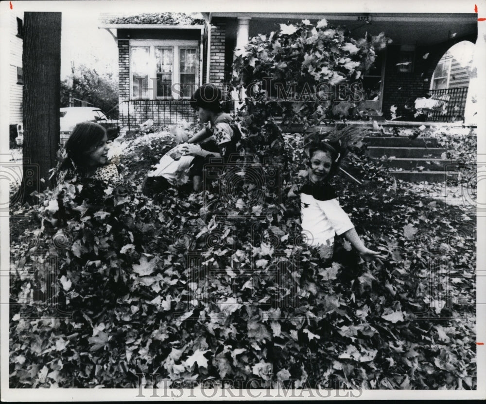 1978 Press Photo Autumn - cvb11781 - Historic Images