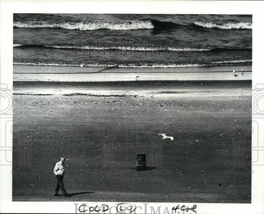 1987 Press Photo Parks Cleveland Lakefront State Park, Edgewater Park - Historic Images