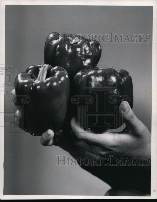 1970 Press Photo Three Peppers - cvb12281 - Historic Images