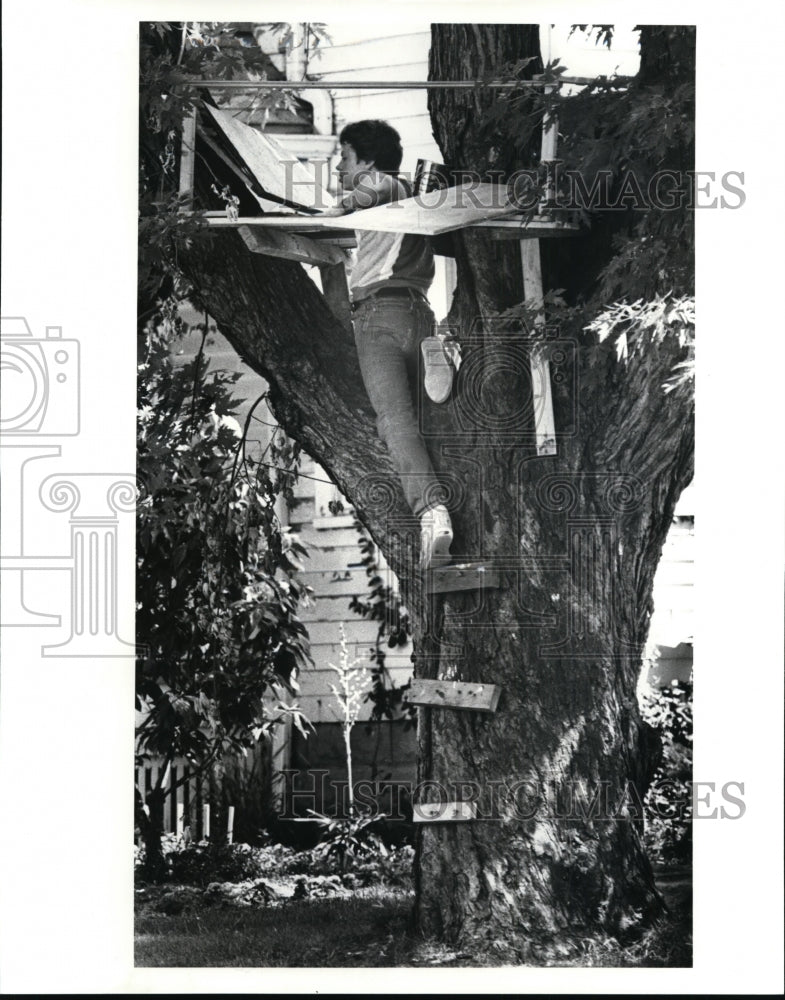 1985 Press Photo Greg Bradford-tree house building - cvb12446 - Historic Images