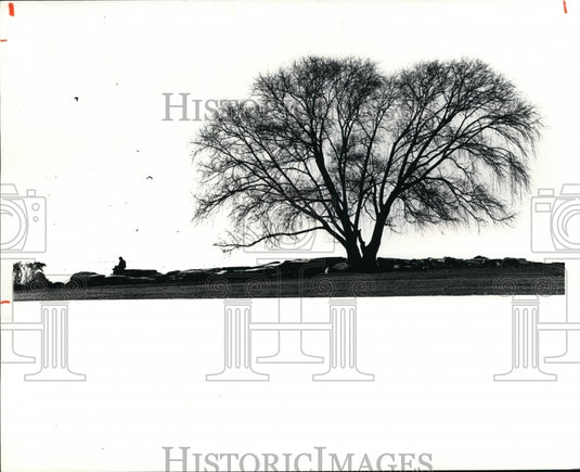 1981 Press Photo Man scetching the Lake Erie shoreline at Edgewater Park - Historic Images