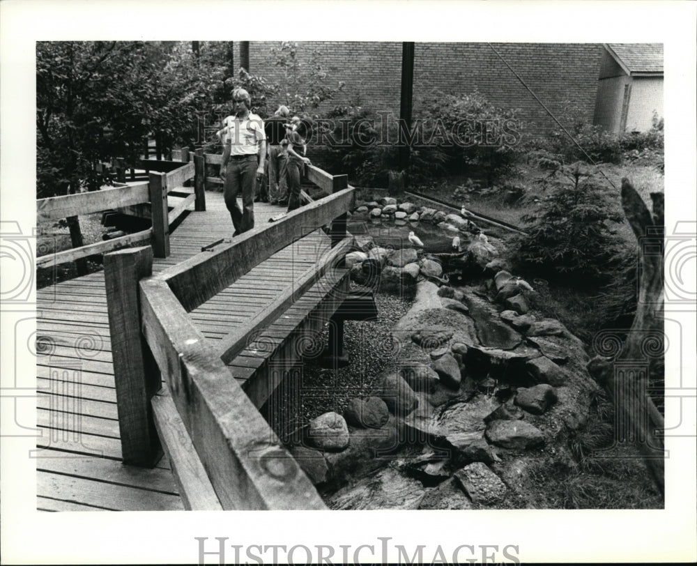 1981 Press Photo Ohio-Akron Zoo-walkthru bird house - cvb12940 - Historic Images