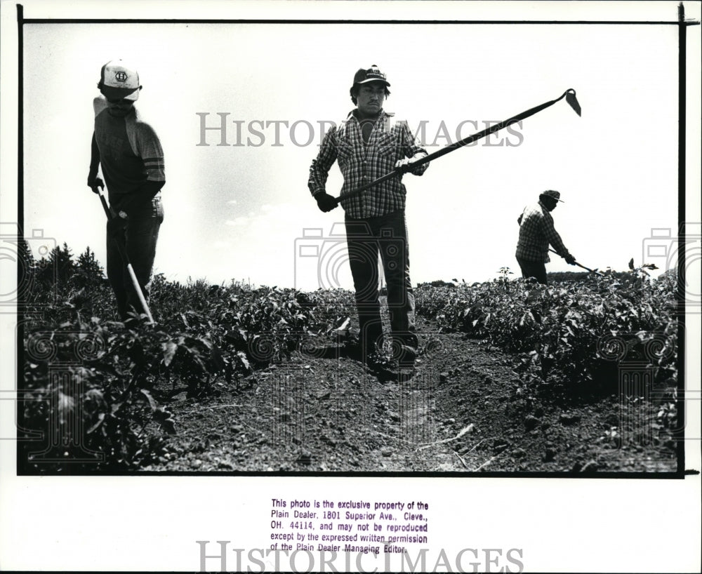 1988 Press Photo Migrant Workers - cvb12990 - Historic Images