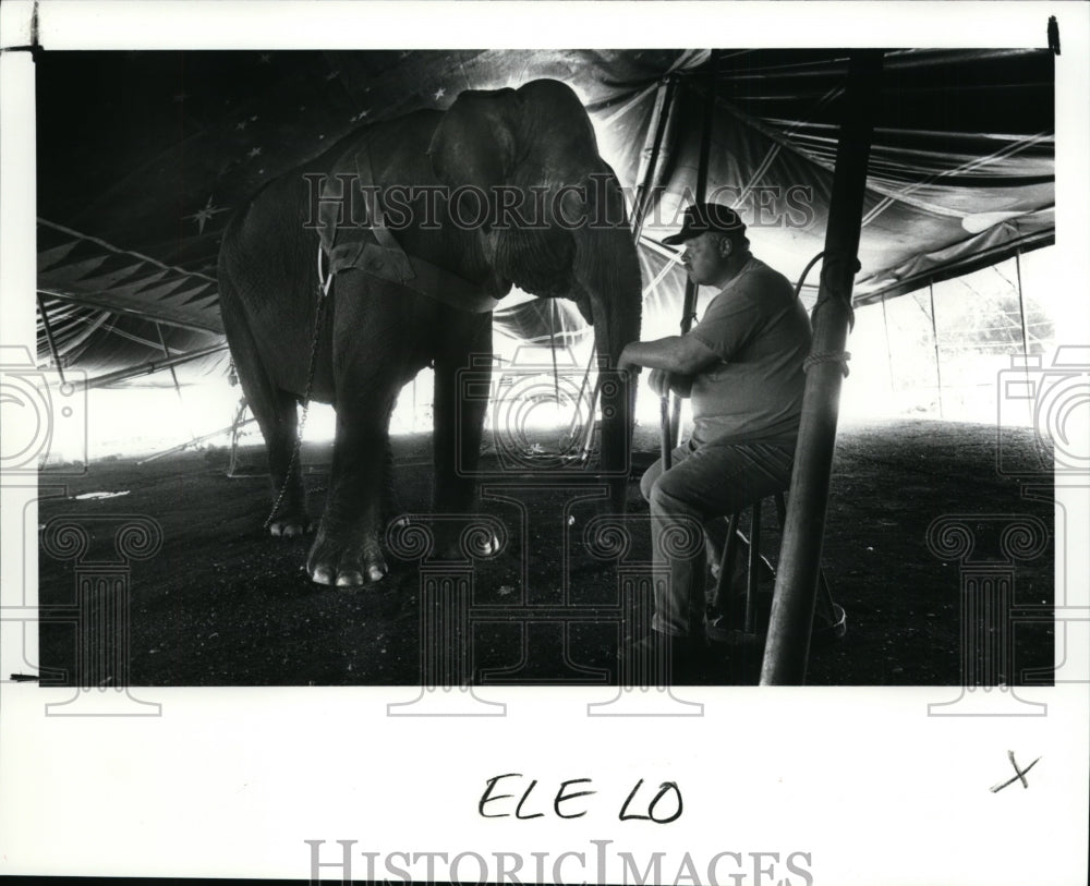1990 Press Photo Terry Fenne sits waiting with his elephant Viola under the tent - Historic Images